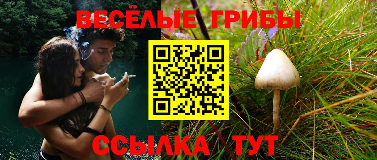Сургут  закладки  Вход с VPN  Псилоцибиновые грибы Magic Shrooms 